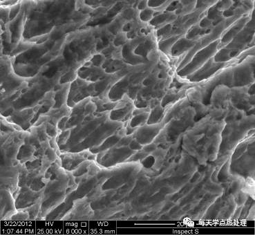 韌窩-變形斷面SEM.webp.jpg 韌窩-變形斷面SEM.webp.jpg