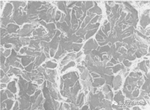 脆性斷面SEM.webp.jpg 脆性斷面SEM.webp.jpg