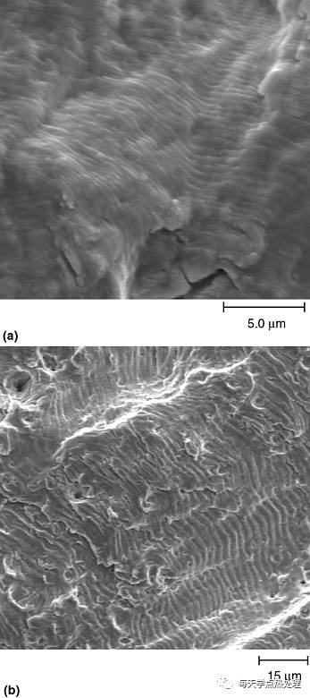 疲勞輝紋-01.webp.jpg 疲勞輝紋-01.webp.jpg