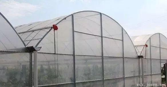 大棚造價及優缺點分析-9.jpg