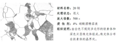 金相學與金相制樣：探索金屬微觀世界的奧秘