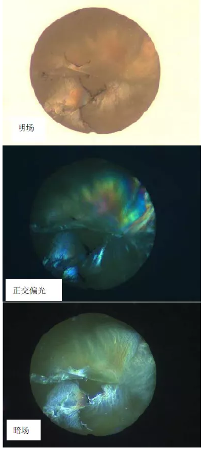 金相學與金相制樣：探索金屬微觀世界的奧秘