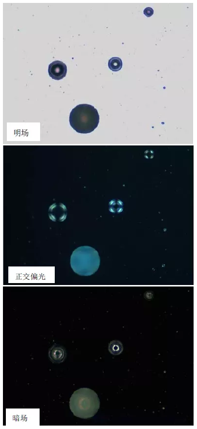 金相學與金相制樣：探索金屬微觀世界的奧秘